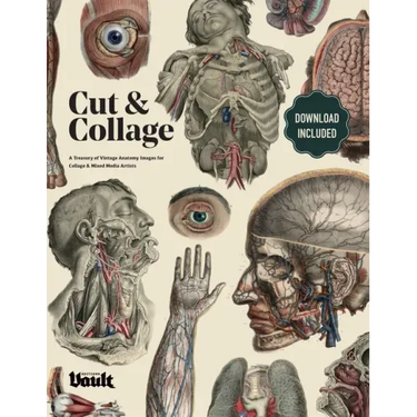 Cut and Collage A Treasury of Vintage Anatomy Images for Collage and Mixed Media Artists
