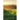 Fresh Heart For A New Day (Volume 2): Finding Joy For Your Journey