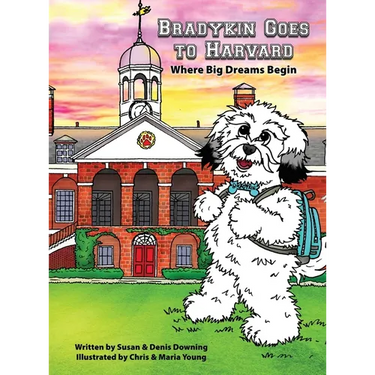 Bradykin Goes to Harvard: Where Big Dreams Begin