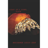 Diary of a Young, Black NEG(R)US