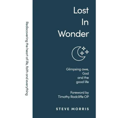 Lost in Wonder: Glimpsing Awe, God and the Good Life (Rediscovering Faith Life And Everything)