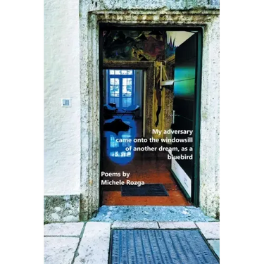 My adversary came onto the windowsill of another dream, as a bluebird