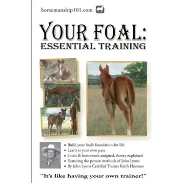 Your Foal: Essential Training