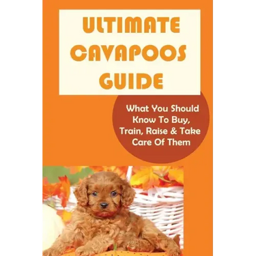 Ultimate Cavapoos Guide: What You Should Know To Buy, Train, Raise & Take Care Of Them: Cavapoo Living Needs