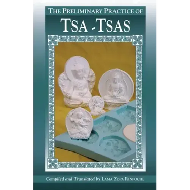 The Preliminary Practice of TSA-TSAS