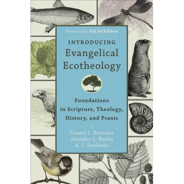 Introducing Evangelical Ecotheology: Foundations in Scripture, Theology, History, and Praxis
