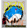 Birds of Maine