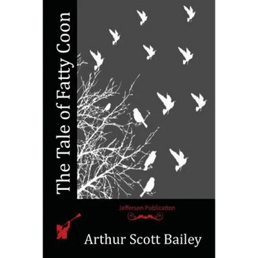 The Tale of Fatty Coon