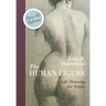 The Human Figure (Dover Anatomy for Artists)