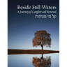 Beside Still Waters: A Journey of Comfort and Renewal - Large Print Edition