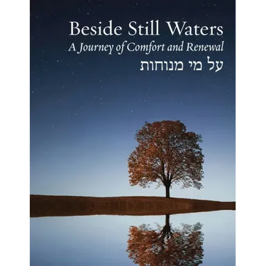 Beside Still Waters: A Journey of Comfort and Renewal - Large Print Edition