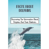 Facts About Dolphins: Discovering The Information About Dolphins And Their Habitats: How Many Species Dolphins Are