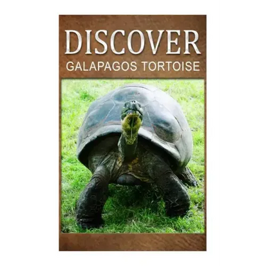 Galapagos Tortoise - Discover: Early reader's wildlife photography book
