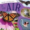 In the Air