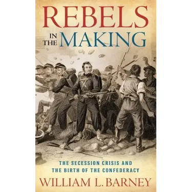 Rebels in the Making: The Secession Crisis and the Birth of the Confederacy