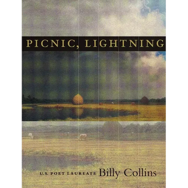 Picnic, Lightning