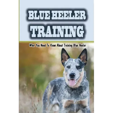 Blue Heeler Training: What You Need To Know About Training Blue Heeler: Blue Heeler Training Commands