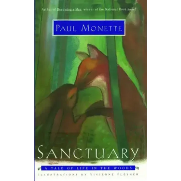 Sanctuary: A Tale of Life in the Woods