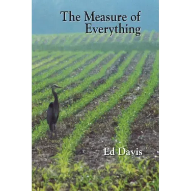 The Measure of Everything