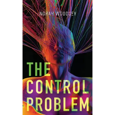 The Control Problem