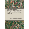 Large Scale Rorschach Techniques - A Manual For The Group Rorschach And Multiple Choice Test