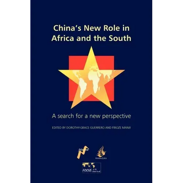 China's New Role in Africa and the South: A Search for a New Perspective