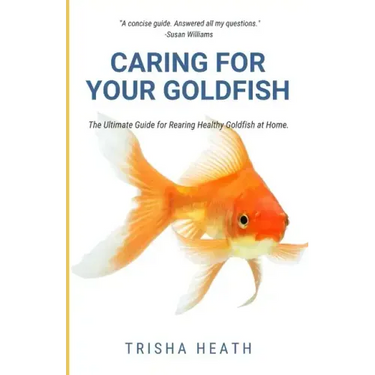 Caring for your Goldfish: The Ultimate Guide for Rearing Healthy Goldfish at Home