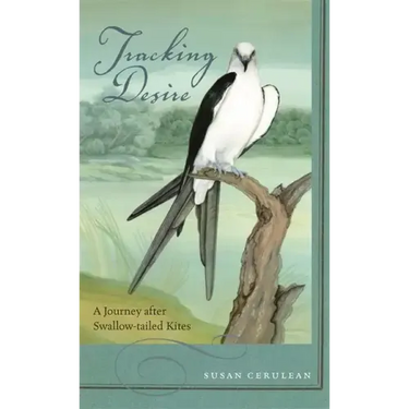 Tracking Desire: A Journey After Swallow-Tailed Kites