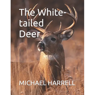 The White-tailed Deer