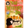 Naji and the mystery of the dig