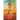 Transformation Summer