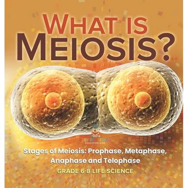 What is Meiosis? Stages of Meiosis, Prophase, Metaphase, Anaphase and Telophase Grade 6-8 Life Science