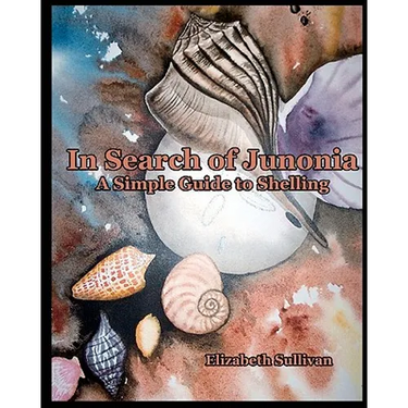 In Search Of Junonia: A Simple Guide To Shelling