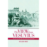 The View from Vesuvius: Italian Culture and the Southern Question Volume 46