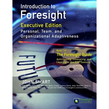 Introduction to Foresight, Executive Edition: Personal, Team, and Organizational Adaptiveness