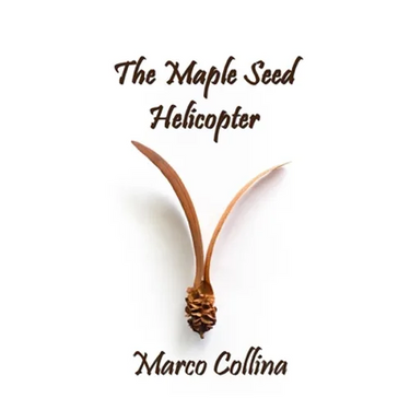 The Maple Seed Helicopter