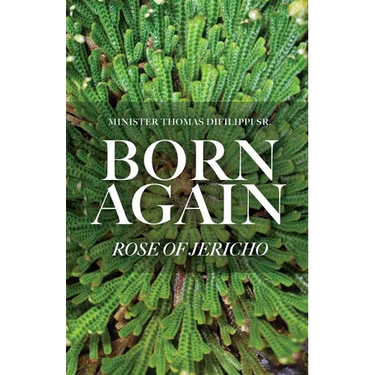 Born Again: Rose of Jericho