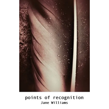 Points of Recognition