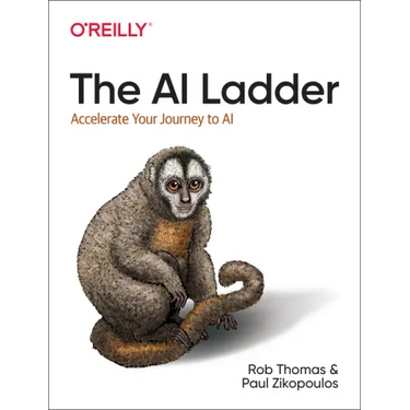 The AI Ladder: Accelerate Your Journey to AI