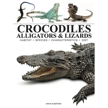 Crocodiles, Alligators & Lizards: From Black Caimans to Komodo Dragons