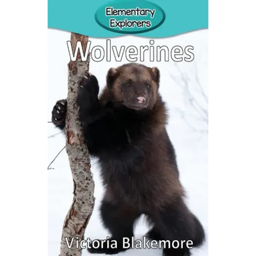 Wolverines
