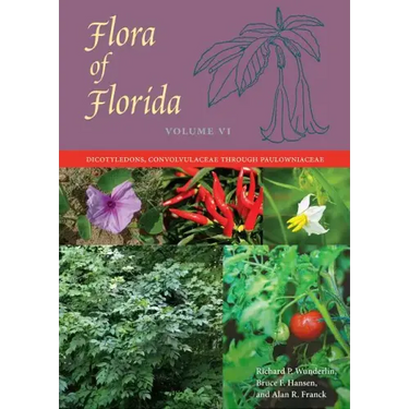 Flora of Florida, Volume VI: Dicotyledons, Convolvulaceae Through Paulowniaceae