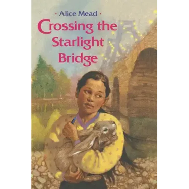 Crossing the Starlight Bridge