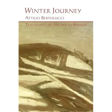 Winter Journey
