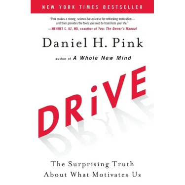 Drive: The Surprising Truth about What Motivates Us