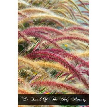 The Book Of The Holy Rosary: A Popular Doctrinal Exposition Of Its Fifteen Mysteries Mainly Conveyed In Select Extracts From The Fathers And Doctor