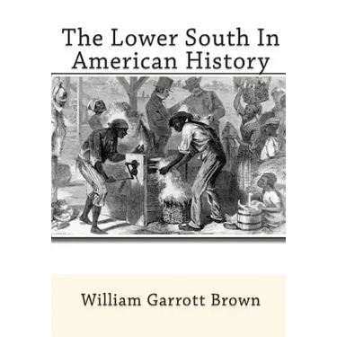 The Lower South In American History