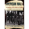 American Mafia: A History of Its Rise to Power