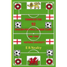 Towns of the 92 English Football League Clubs and their Historic Diversity
