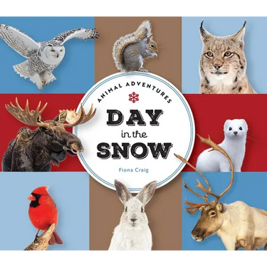 Animal Adventures: Day in the Snow